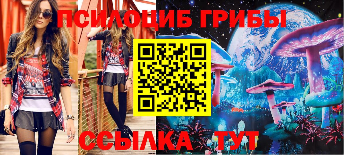 Сафоново  цена наркотик  Галлюциногенные грибы MAGIC MUSHROOMS  Вход с VPN  Галлюциногенные грибы MAGIC MUSHROOMS 